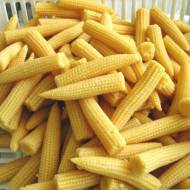 Кукурудза Оплески золотої дитини за 7 г