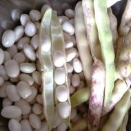 Квасоля Бомбочка за 15 г