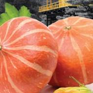 Гарбуз Утікі курі хаббард за 10 нас.