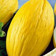 Диня Жовта канарейка за 1 г