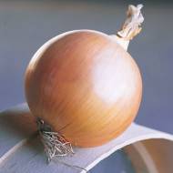 Лук Дайтон F1 за 0,3 г