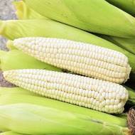 Кукуруза Горный снег за 10 г