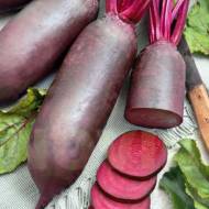 Свекла столовая Алексис