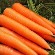 Морковь Кларис F1