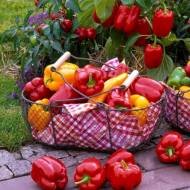 Набор из 5 пакетиков сладкого перца Цветная радуга