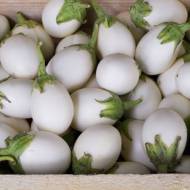 Баклажан Палома F1 за 30 сем.