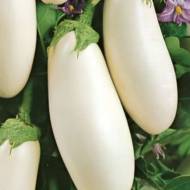 Баклажан Снег среди лета за 30 сем.