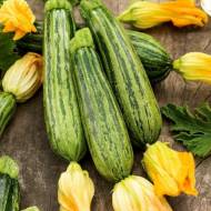 Кабачок Нимба за 20 г
