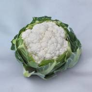 Капуста Альмагро F1