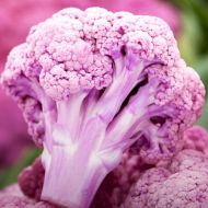 Капуста Депурпл F1 за 10 сем.