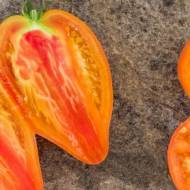 Томат Гном Гордость Марины