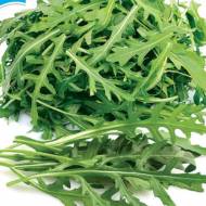 Рукола Дикая Грация за 0,3 г