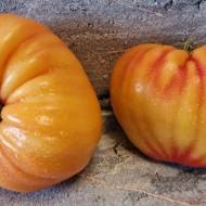 Томат Веселка леприкона за 10 нас.