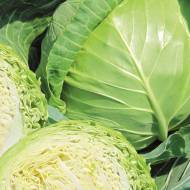 Капуста раньше всех за 150 сем.