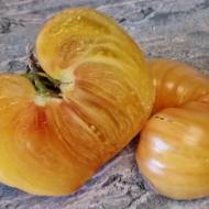 Томат Радуга леприкона за 10 сем.