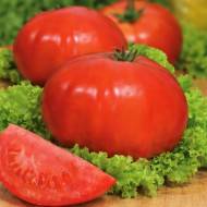 Томат Мармеладный красный