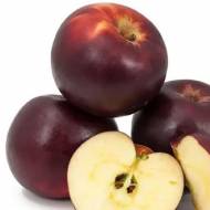 Саджанець Яблуня Голубка