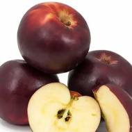 Саженец Яблоня Голубка