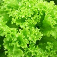 Салат Одеський Кучерявець