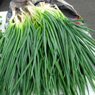 Цибуля Шалот за 0,5 г