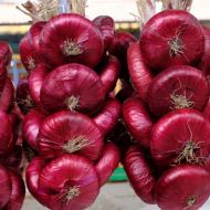 Цибуля ріпчаста (чорнушка) Ялтинська за 1 г