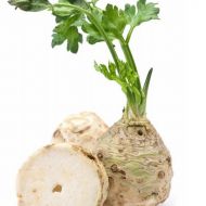 Селера Яблунева за 0,2 г