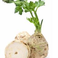 Селера Яблунева за 0,2 г