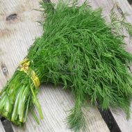 Кріп Алігатор