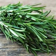 Розмарин за 0,1 г