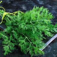 Кріп Мамонт