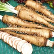 Вівсяний корінь за 0,1 г