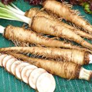 Вівсяний корінь за 0,1 г