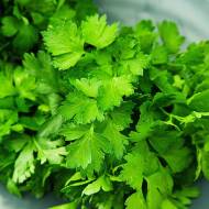 Петрушка листова Богатир