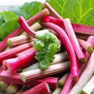 Ревінь за 0,5 г