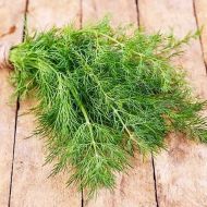 Кріп Лукуллус