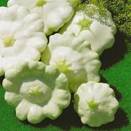 Патисон Білий за 3 г