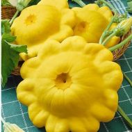 Патисон Жовтий за 3 г