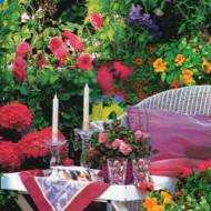 Квіткова суміш Беседка за 2 г