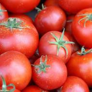 Томат Волгоградський 5/95 за 0,3  г