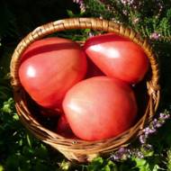 Томат Орлиний Дзьоб за 0,15 г