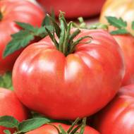 Томат Райська насолода за 0,1 г