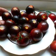 Томат Блек черрі за 0,1 г