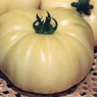 Томат Білий гігант за 0,1 г