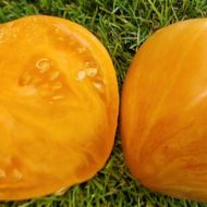 Томат Динний лікер за 0,1 г