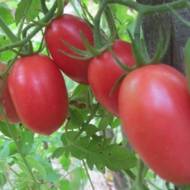 Томат Рожевий ізюм за 0,1 г