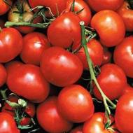 Томат Богун F1 за 0,1 г