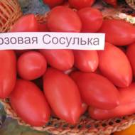 Томат Рожева сосулька за 0,1 г