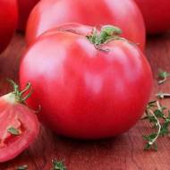Томат Візир за 0,1 г