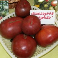 Томат Шоколадна амазонка за 0,1 г