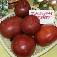 Томат Шоколадна амазонка за 0,1 г